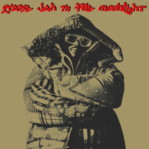 Praise Jah in the Moonlight (radio edit)