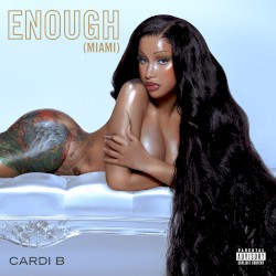 Enough (Miami) (acapella)