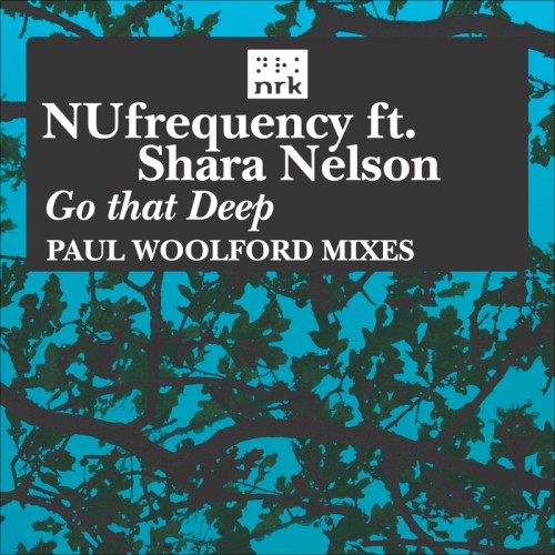 Go That Deep (Paul Woolford Remixes)