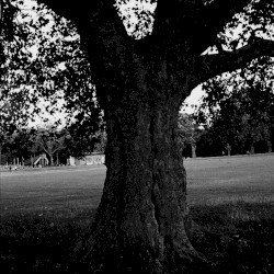 A New Place 2 Drown (Instrumentals)