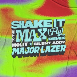 Shake It to the Max (Fly) [Major Lazer remix]