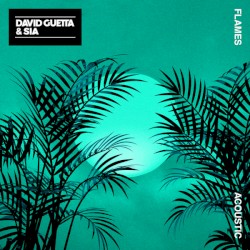 Flames (acoustic)