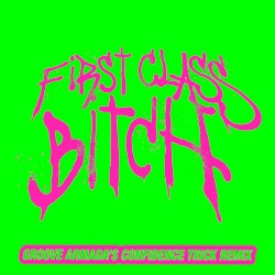 First Class Bitch (Groove Armada’s Confidence Trick remix)