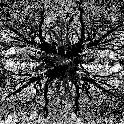 MMXX - V : 4424