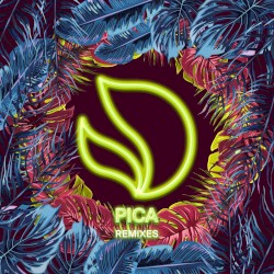 Pica (Laidback Luke remix)