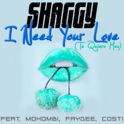 I Need Your Love (Te quiero más)