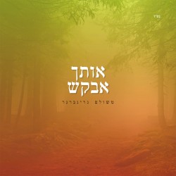 אותך אבקש