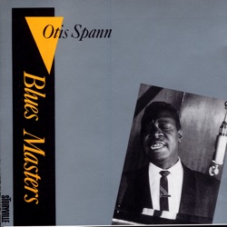 Blues Masters, Volume 10