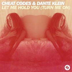 Let Me Hold You (Turn Me On) (Extended Mix)