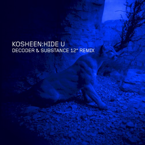 Hide U (Decoder & Substance 12" Remix)
