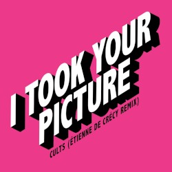 I Took Your Picture (Étienne de Crécy remix)