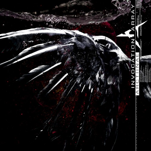 Arctiinae + Instrumentals