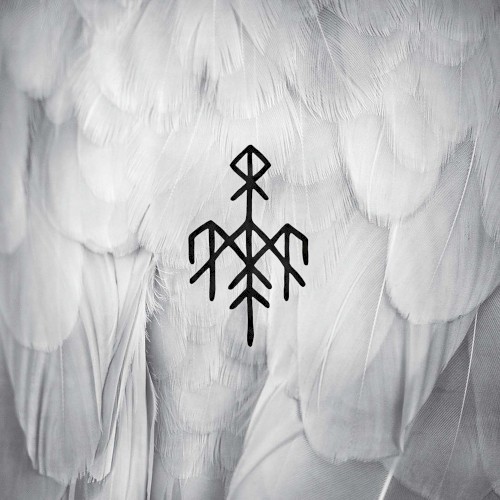 Kvitravn / First Flight of the White Raven
