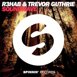 Soundwave (Audiotricz Remix)