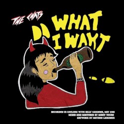 Do What I Want / Smoko