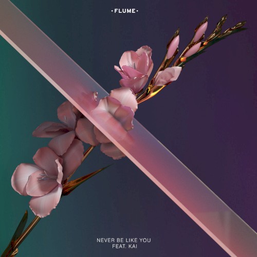 Never Be Like You (Remixes)