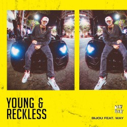 Young & Reckless (extended mix)