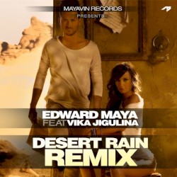 Desert Rain (official remix)