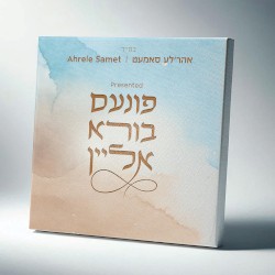 Finem Boire Alein - פונעם בורא אליין