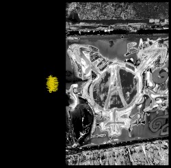 Demo (Re-Mastered)