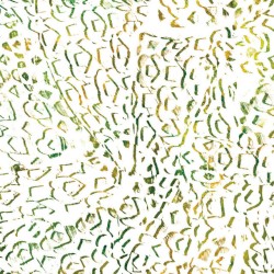 Compost Remixes