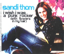 I Wish I Was A Punk Rocker