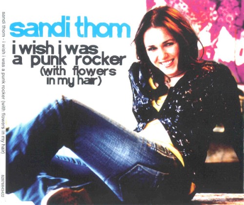 I Wish I Was A Punk Rocker