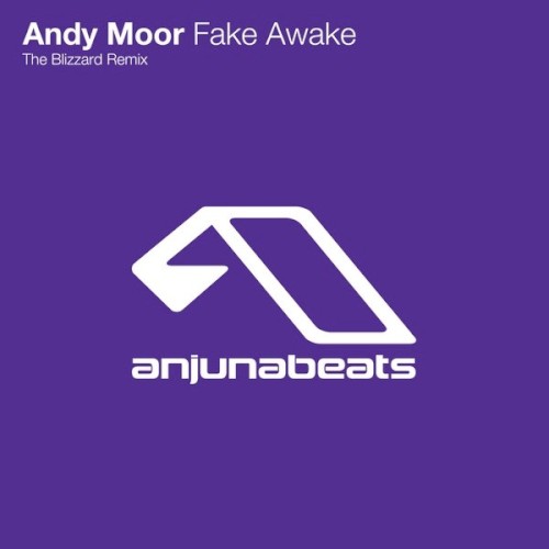 Fake Awake (The Blizzard remix)