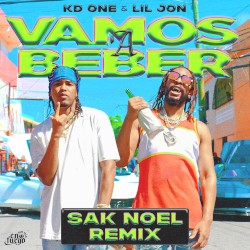 Vamos a Beber (Sak Noel remix)