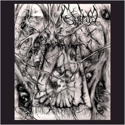 Mycelium Shroud (extended version)
