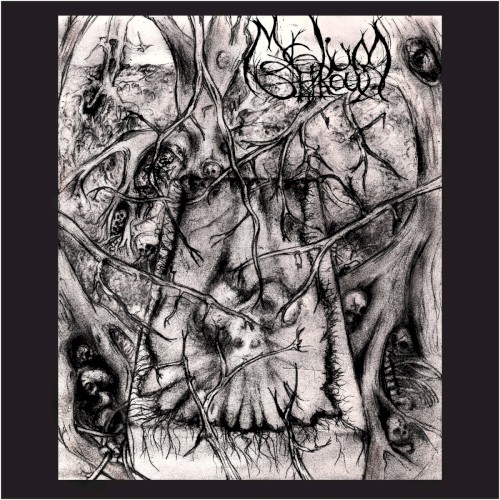 Mycelium Shroud (extended version)