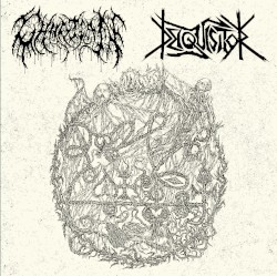 Deiquisitor Split