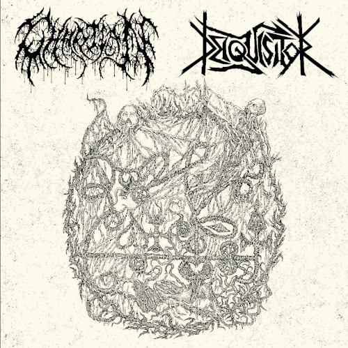 Deiquisitor Split