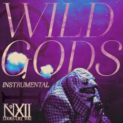 Wild Gods (instrumental)