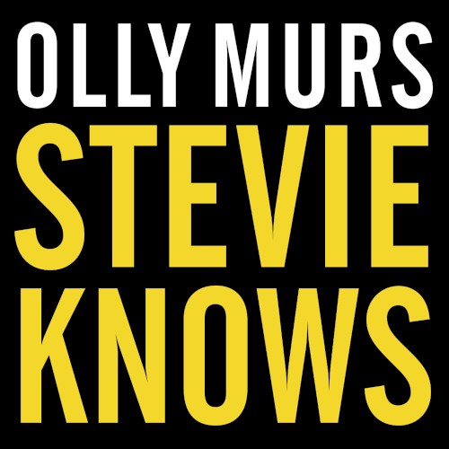 Stevie Knows (7th Heaven Remix)