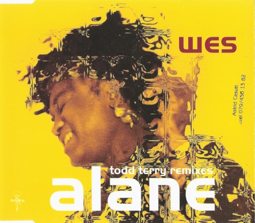 Alane (Todd Terry Remixes)