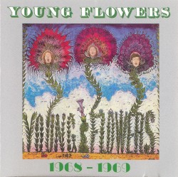 1968 - 1969