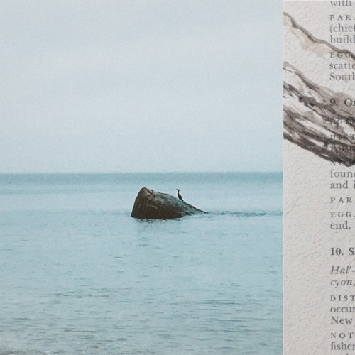 from here, out there (DELUXE)