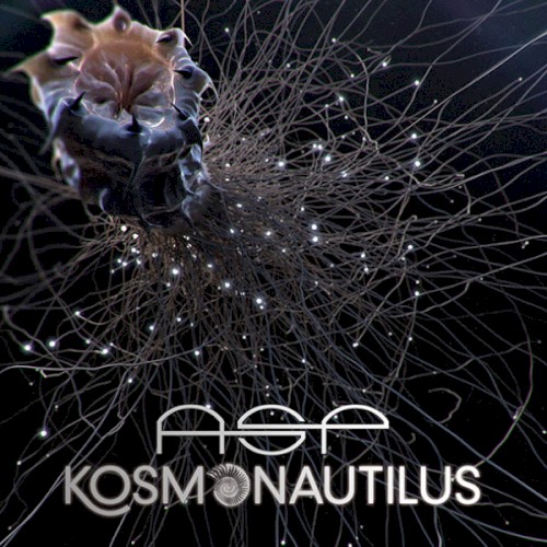 Kosmonautilus