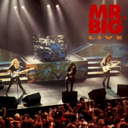 Mr. Big Live