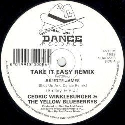 Take It Easy (Remix)