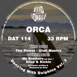 Dancing With Dolphins Vol. 2