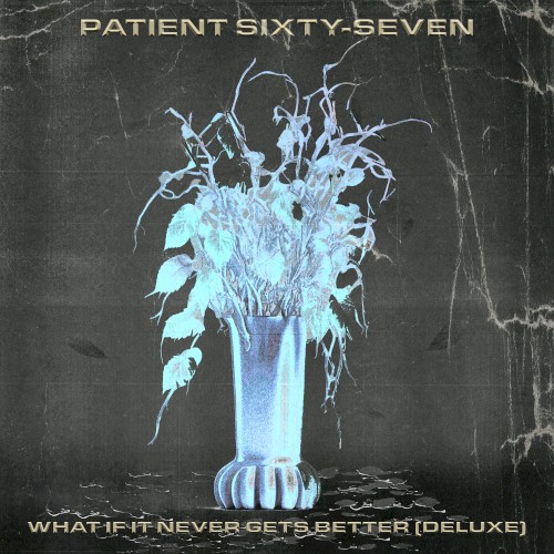 What If It Never Gets Better (Deluxe)