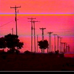 Evening