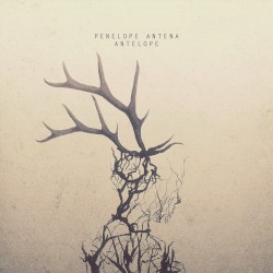 Antelope (Deluxe Edition)