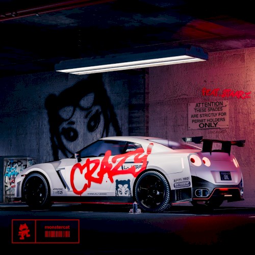 Crazy (extended mix)