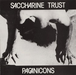 Paginicons