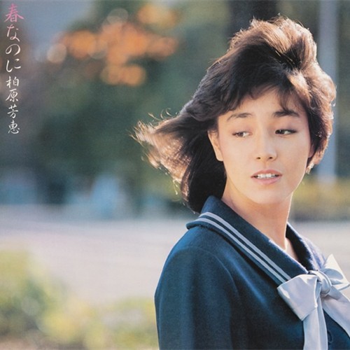 春なのに +3