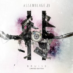 Bruise: Limited Edition