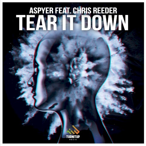Tear It Down (radio edit)